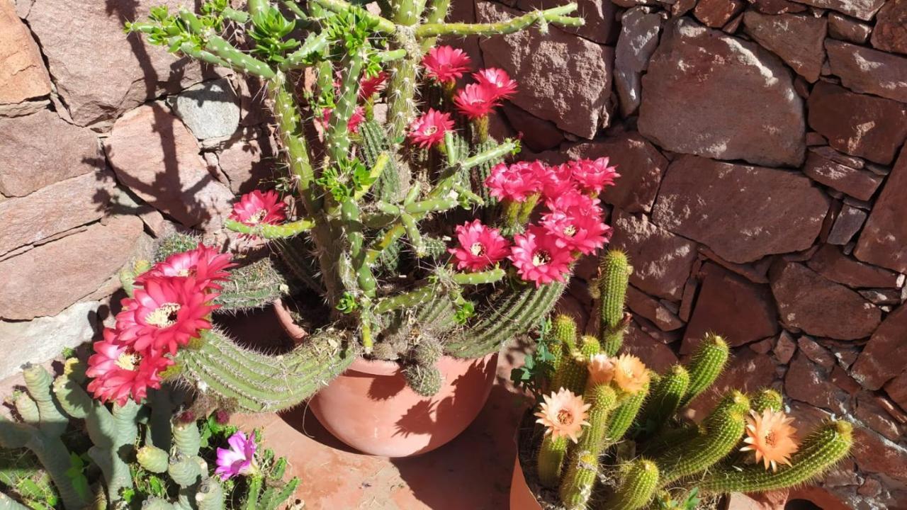 La Pirca Rosada Apartamento